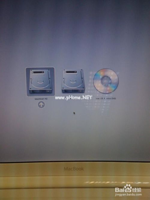 1481093685598055.jpg 10.jpg