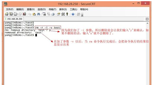 linux删除文件夹,小编教你电脑的linux怎么样删除文件夹