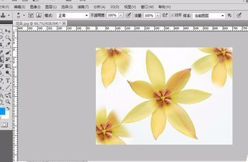 photoshop photoshop