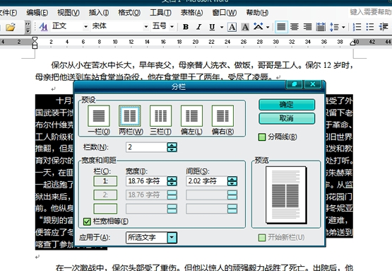 设置分栏