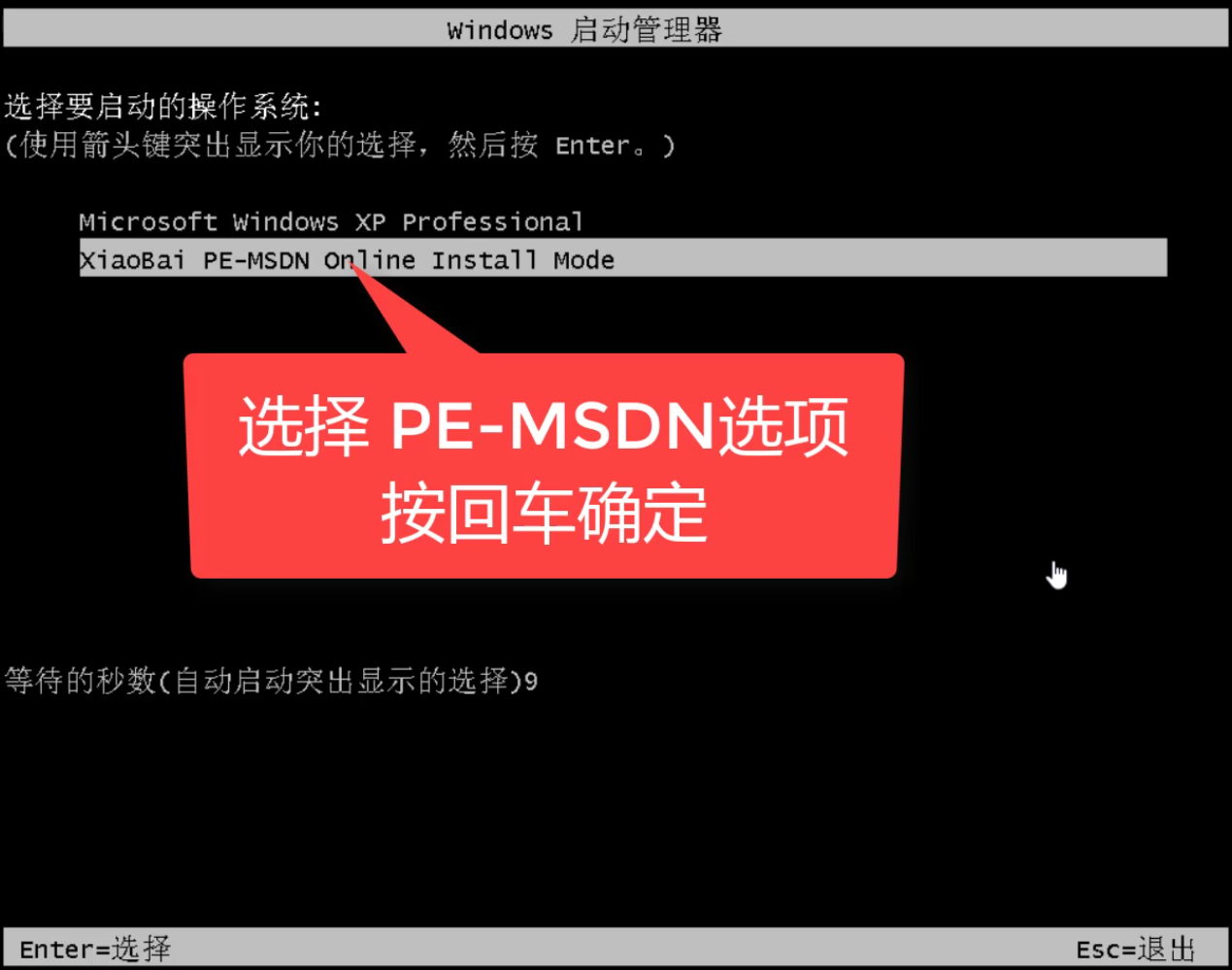 xp xp